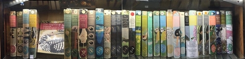 a row of illuminated hard cover books with subtly colorful book covers against a dark background