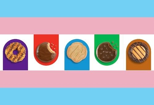 a blue, white, and pink transgender flag with a selection of girl scout cookies pictured in the white stripe of the flag