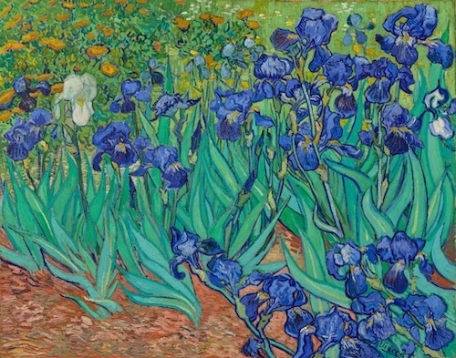 vibrant, sinuous painting of wild irises with long bright green stalks and deep purple heads, with one white iris visible, and smaller orange-yellow flowers in the background -- possibly marigolds