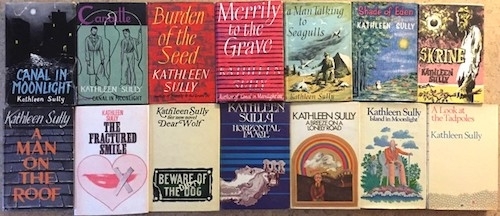 an array of 14 book covers in two rows