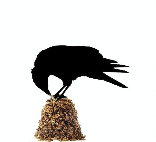 black silhouette of a crow atop a pile of grain