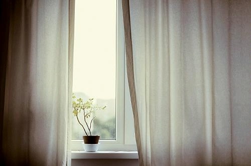 scene of a window with light beige curtains slightly parted, allowing soft natural light to enter. A small potted plant sits on the windowsill, adding a touch of greenery and life to the otherwise simple and serene composition