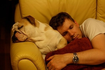 Photo of a sleeping man and dog, on a couach