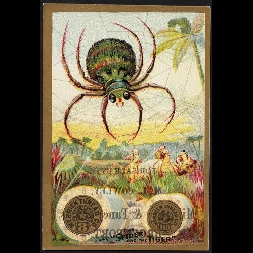 colorful vintage art of a tropical background with large spider in a web whose threads have trapped and entangled a smaller tiger below. In the foreground are two spools of thread.