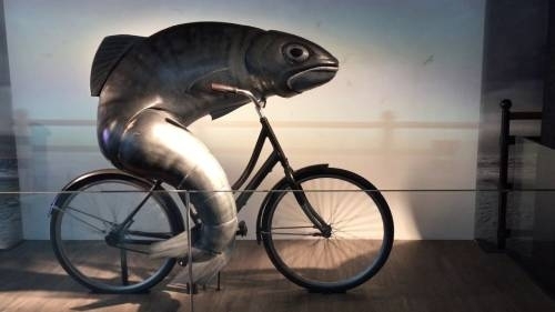 video screen grab from Guinness' Fish on a Bicycle ad