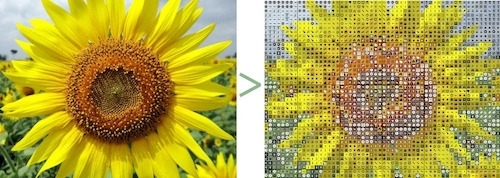 A close-up color photo of a sunflower on the left, and on the right, the image converted to a cross-stitch pattern