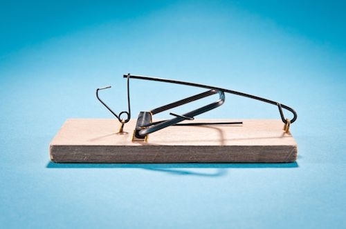 close-up photo of a simple wooden mousetrap