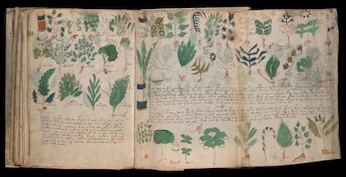 photo of medieval book open with right page that folds out, covered with various drawings of plants and long rows of handwritten script