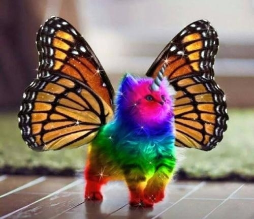 a photorealistic fluffy kitten with sparkly bright rainbow colored fur, monarch butterfly wings, and a white unicorn horn