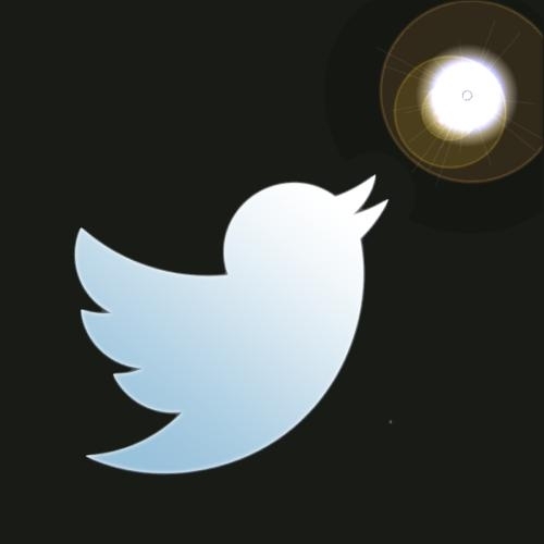 On black backgound, Twitter bird logo fading from blue to white as it flies toward a tunnel of light