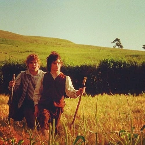 movie still of Frodo and Samwise with walking sticks companionably walking together through a pleasant field on a sunny day 