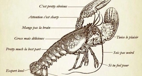 diagram of lobster with funny Franglais notes on various parts